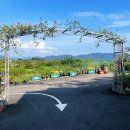 숙이네 민박 이미지