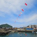 보목 | 제주도 축제 보목자리돔축제 후기