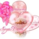 영암낭주중학교 이미지