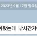 하판천 이미지