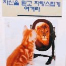 도마니 | [자린이]TREK DOMANE 트렉 도마니 al3 시승/렌탈 후기