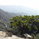 청계 버스터미널(정류장) 이미지