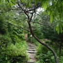 춘천 계곡민박 이미지