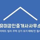 김유미공인중개사사무소 이미지