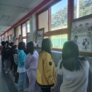 비봉초등학교 이미지