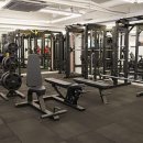 스페셜바디 레이디 이미지