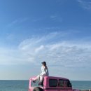 용고개농장 이미지