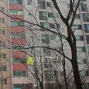 장금로 Daum카페