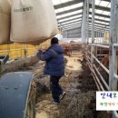 오덕농장 이미지