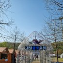 대청호대덕뮤직패스티벌 | 2024 대청호 대덕뮤직페스티벌 다녀온 후기(루시 인기 대박 실감)