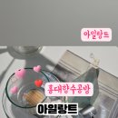 아일랑트