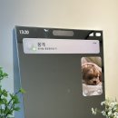 네일옐루