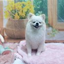 호이펫샵 이미지