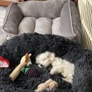 로이병원 이미지