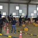 거창 오로라 승마장 이미지