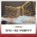 수요일에 떠나는 클래식 여행 | 마카오 자유여행 코스부터 홍콩 야경까지! 아이부터 어른까지 만족한 가족여행 후기 🇲🇴🇭🇰