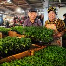 김규태 농장 이미지