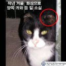 완도동물병원 이미지