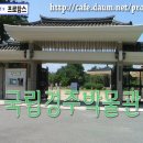 [국립박물관] 국립경주박물관 - 경북 경주 이미지