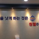 청혈센터한의원 Daum카페