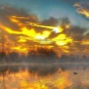 해피데이 이미지