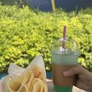 포토덤프 챌린지 :: 서울 가볼만한 곳 &#34;서울랜드&#34; 뚜벅이데이트 은하열차888 롤러코스터후기 토요일 방문