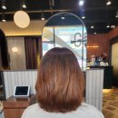 수아헤어샵 | 서현역 미용실 추천 헤어더뷰 서현점 집중 두피케어 솔직 후기 (feat. 디자이너 수아)