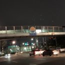 양천천 | 양평 안양천 벚꽃축제 밤에 다녀왔습니당