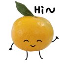 서호리감귤밭