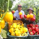 봉정농장 이미지