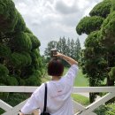 (주)세븐타이어 | [주간일기 8월첫째 주]