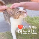 어노인트교동도점 이미지