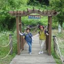 파로호수달길(25.6.3.목,) 이미지