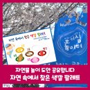 호기심놀이터