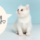 고양대로1730번길 이미지