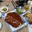 전남 강진 마량 식당 마량항 겨울 제철 방어회 맛집 유림수산활어횟집 후기