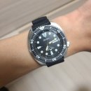 터틀투맨 | [내돈내산] 세이코 터틀 (SRPE93) 구매후기, 사이즈 및 스펙