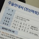 복약국 | 편도절제술 당일~7일차