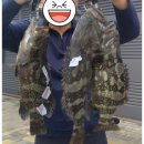 영흥바다낚시터 이미지