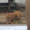 사랑받을 이유없이 사랑해보기