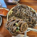 메르밀진미집전주역점 | 전주역 근처 맛집, 소바 콩국수 추천 메르밀진미집 전주역점