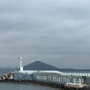 제주도 2박 3일 여행 | 미국인 친구와, 혼자 여행
