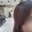 세븐일레븐 대구수성4가점 | 대구 수성구 염색 잘하는 곳 유키니언 수성 4가점 매트브라운 컬러 톤다운 염색 후기