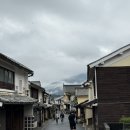 버스 | 일본 마쓰야마 버스투어 추천 유유버스 후기 혜택 안내