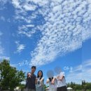 문라잇제주 | 제주 야호