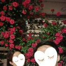 일석삼조포차 이미지