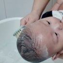 따담 | 신생아 빗 필요할까? (베이비클라우드 아기브러쉬)