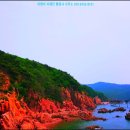 삼일유통(할인마트) 네이버블로그