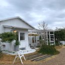 키친썬플라워 이미지