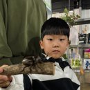 성화농장 | 포항 실내 아이랑 가볼만한곳 풍이랑 곤충체험농장